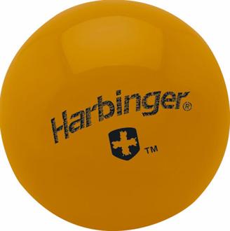 Harbinger 2 lb. Weighted Fitness Ball